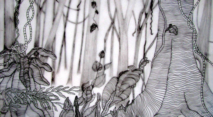 Dessine-moi une forêt