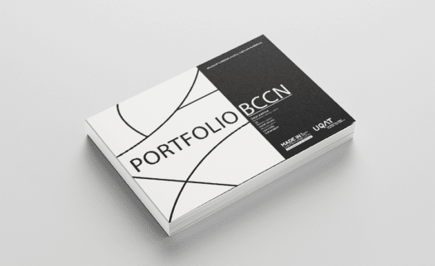 Portfolio BCCN 2020-2021 / Design graphique, illustrations photos